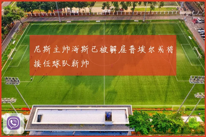 尼斯主帅海斯已被解雇普埃尔或将接任球队新帅